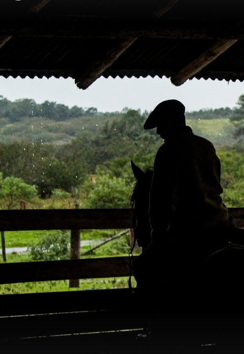 Remate de Leilões e Cabanhas